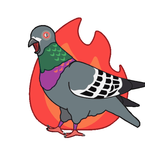 Pigeondao Pigeon Sticker - Pigeondao Pigeon Fire Stickers