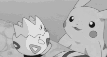 black and white pokemon