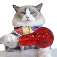 Look At This Lollipop Puff Sticker - Look At This Lollipop Puff Meow Chef Stickers