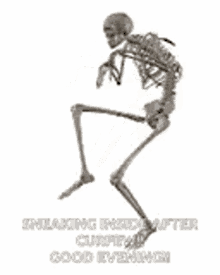Sneak Skeleton GIF - Sneak Skeleton Tip Toe GIFs