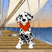 Color Therapy Dog GIF - Color Therapy Dog Sailing GIFs