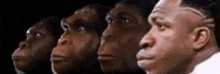 a close up of a man 's face showing the evolution of humans from monkeys .