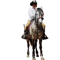 a man wearing a cowboy hat and sunglasses rides a horse