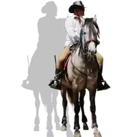 a man wearing a cowboy hat and sunglasses rides a horse