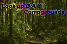 a picture of a forest with the words " lookup gay campgrounds " above it