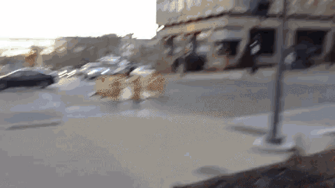 Milwaukee GIF - Milwaukee - Discover & Share GIFs