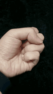 Cyoki Hand GIF