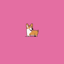 a cartoon drawing of a corgi dog laying down on a pink background