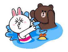 water fight mocha bear rabbit and bear coney rabbit love