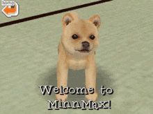 Welcome To Minnmax Minnmax Nintendogs GIF - Welcome To Minnmax Minnmax Minnmax Nintendogs GIFs