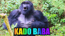 Kadobaba GIF - Kadobaba GIFs