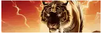 a painting of a tiger with chinese writing on its face