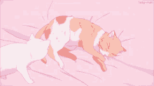 cat cuddle cat cat love cat snuggle anime cat
