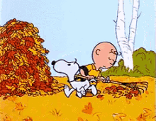 Snoopy Helps Raking Leaves GIF - Raking Leaves Raking Snoopy GIFs