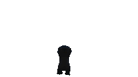 a stuffed animal that looks like stitch is standing on its hind legs