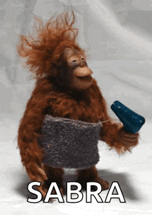 a stuffed monkey is holding a hair dryer and the word sabra is on the bottom right
