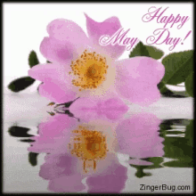 May Day Flowers Happy May Day GIF - May Day Flowers Happy May Day Adios Abril GIFs