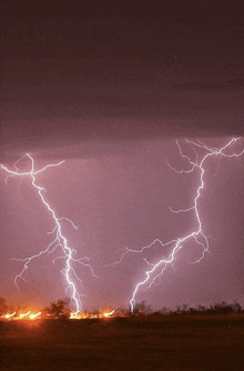 lightning strikes during a storm over a field
