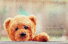 Teddy Bear Sad GIF - Teddy Bear Sad Rain GIFs