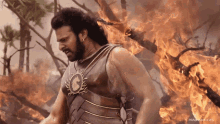 a man in armor stands in front of a fire with a watermark that says prasna shogifs