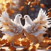 two white doves are sitting next to each other on a table with their wings spread .