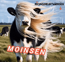 Hallo Moin GIF - Hallo Moin Nordsee GIFs