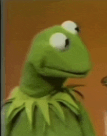 Kermit Shocked GIF - Kermit Shocked GIFs