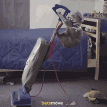 Cat Cleaning GIF - Cat Cleaning Clean GIFs