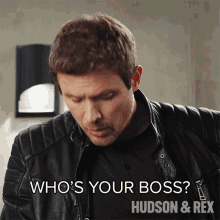 Whos Your Boss Charlie Hudson GIF - Whos Your Boss Charlie Hudson Hudson And Rex GIFs