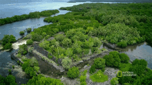 Forest National Geographic GIF - Forest National Geographic Ancient City Of Nan Madol GIFs