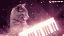 spinnin tv cat playing keyboard outer space funny cute