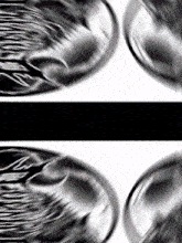 a black and white image of a circle with a black border
