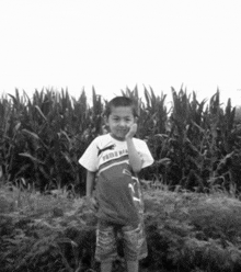 a young boy wearing a puma shirt stands in front of a field of corn