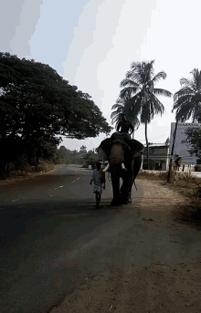 Elephant Walk GIF - Elephant Walk Senthil GIFs