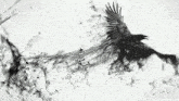 a black and white drawing of a bird flying