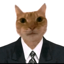 a cat is wearing a suit and tie