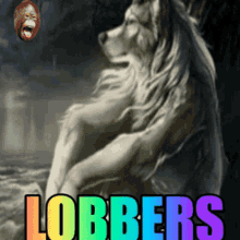 Lobbers Lobinho GIF