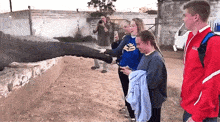 a group of people looking at an elephant while a man takes a picture with his phone
