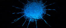 a close up of a blue eye in the dark
