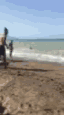 clavado beach swimming cart wheels ocean