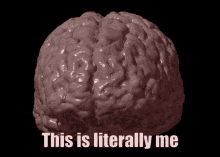 This Is Literally Me Brain GIF - This Is Literally Me Brain Literally GIFs