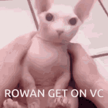 Rowan Get GIF