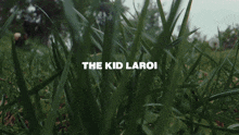 The Kid Laroi What Just Happened GIF - The Kid Laroi Kid Laroi Laroi GIFs