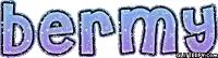 the name bermy is written in purple and blue glitter