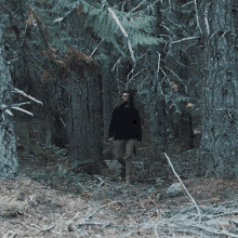 Into The Woods Trent Arant GIF