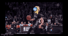 Poodle Dunks Poodledunk GIF - Poodle Dunks Poodledunk Poodled GIFs