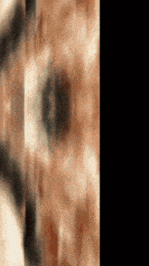 a blurry picture of a person 's face with a black background