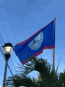 Belize Belizean GIF - Belize Belizean Flag GIFs
