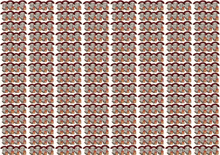 a bunch of people with umbrellas are lined up in a row on a white background .
