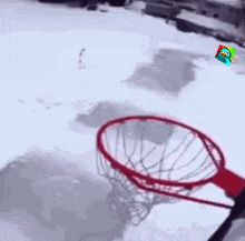 a basketball hoop with a perry the platypus on it